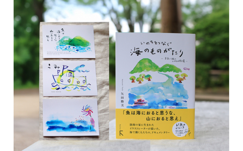 続「いのちをつなぐ海のものがたり」と、美しいポストカード3枚セット♪