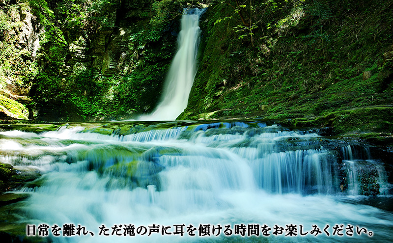 【光と水の幻想体験】赤目四十八滝招待券（4名様）| チケット 券 お出かけ 体験