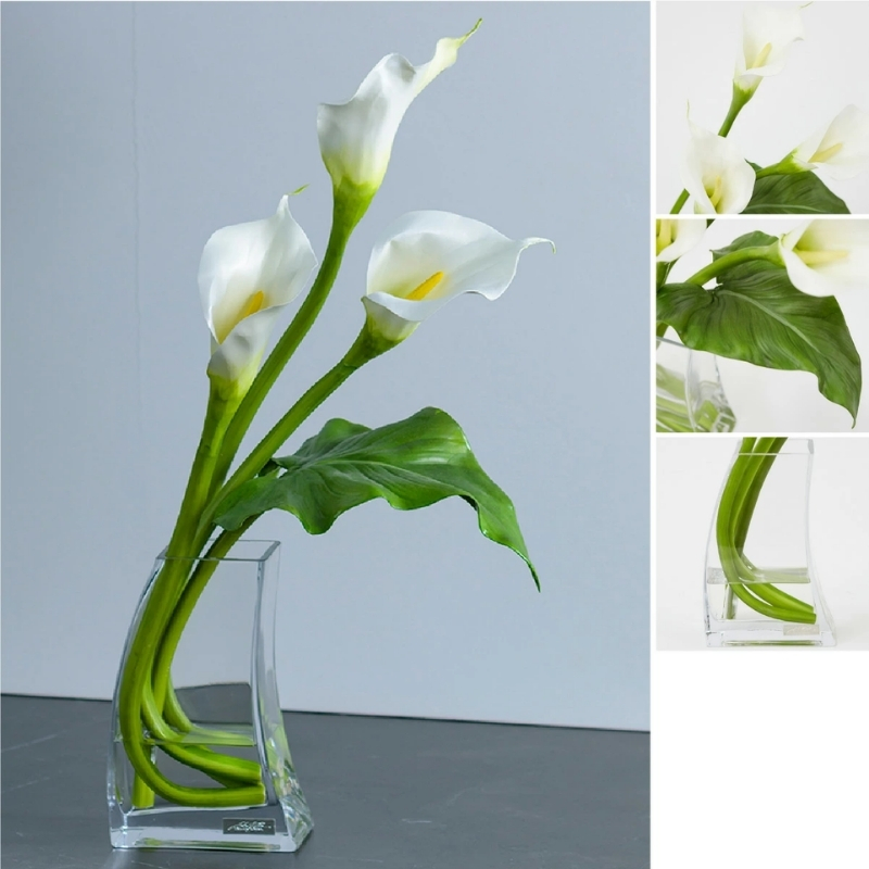 アートフラワー エミリオ・ロバ カラー2L TTNTS41200