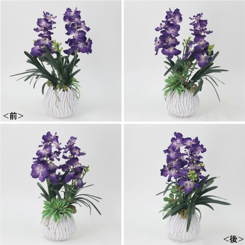 アートフラワー エミリオ・ロバ バンダボタニックpu-XL TTUTA10450