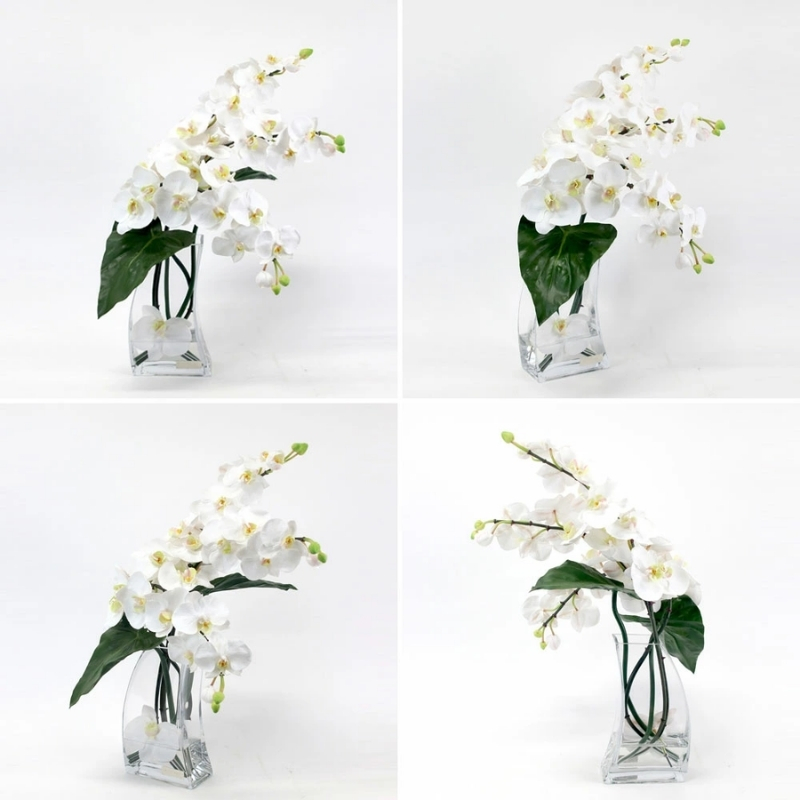 アートフラワー エミリオ・ロバ  ファレノプシス4L TTNTA-56300