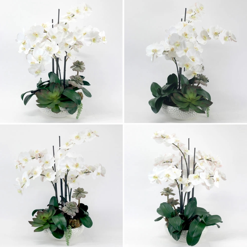 アートフラワー エミリオ・ロバ  ファレノプシスボタニカルXL TTUTA57500