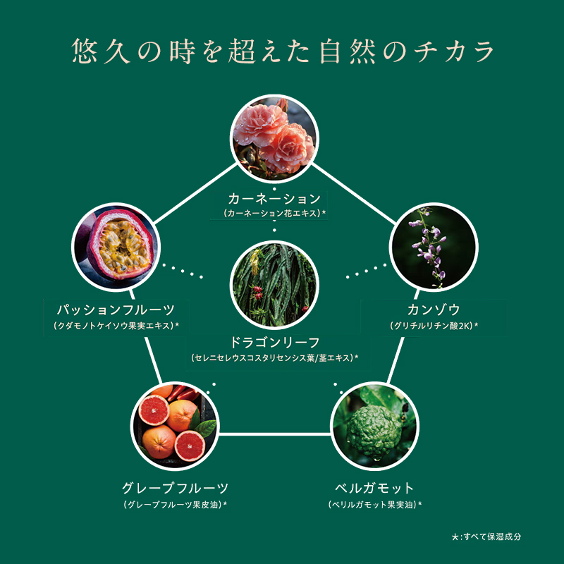 自然の恵みと美容の知恵で、肌の未来を育む Natereonフェイスマスク　1箱(5枚)　個別包装　フェイスパック シートマスク パック 美容 保湿 エイジングケア ハリ うるおい 敏感肌 日本製