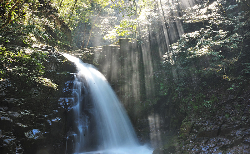 【光と水の幻想体験】赤目四十八滝招待券（1名様）| チケット 券 お出かけ 体験