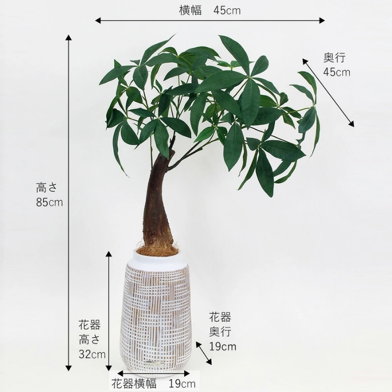 アートフラワー エミリオ・ロバ ミニパキラ TUTTA01250