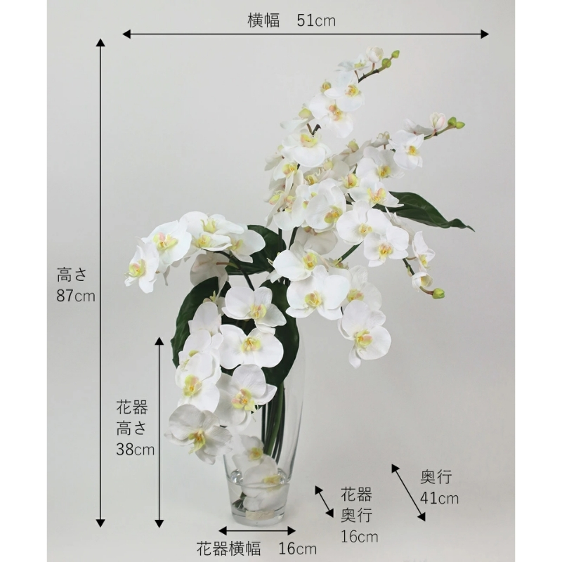 アートフラワー エミリオ・ロバ ファレノプシスXL TTNTA-53600