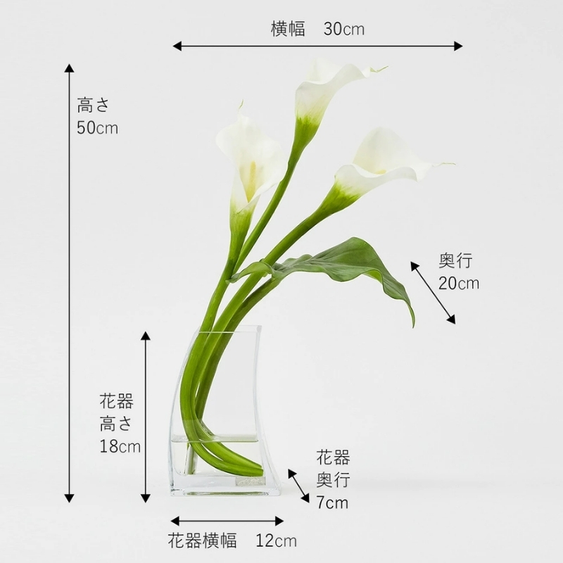 アートフラワー エミリオ・ロバ カラー2L TTNTS41200
