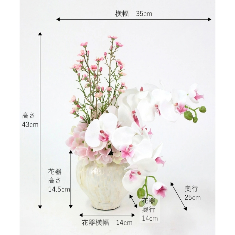 アートフラワー エミリオ・ロバ ファレノプシスリップピンク2L TTUTS58250