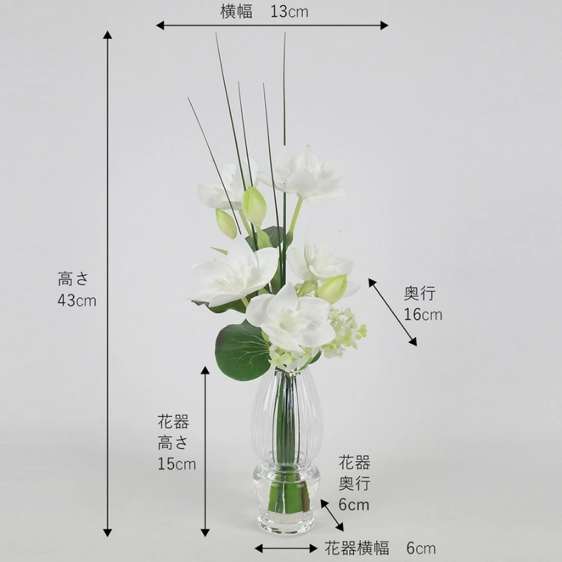 アートフラワー エミリオ・ロバ ユーチャリスM24 TUNTW29130