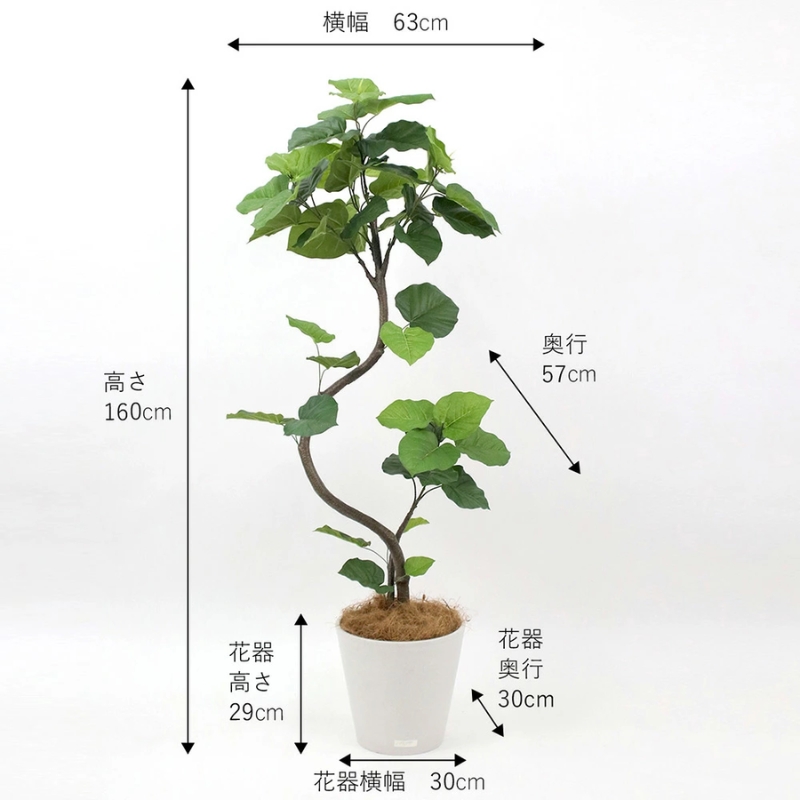 アートフラワー エミリオ・ロバ ウンベラータ TUTTA85750