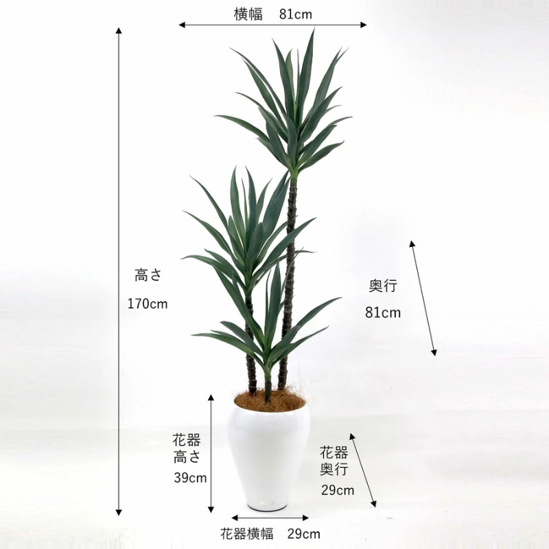 アートフラワー エミリオ・ロバ ユッカラン TUTTA90550