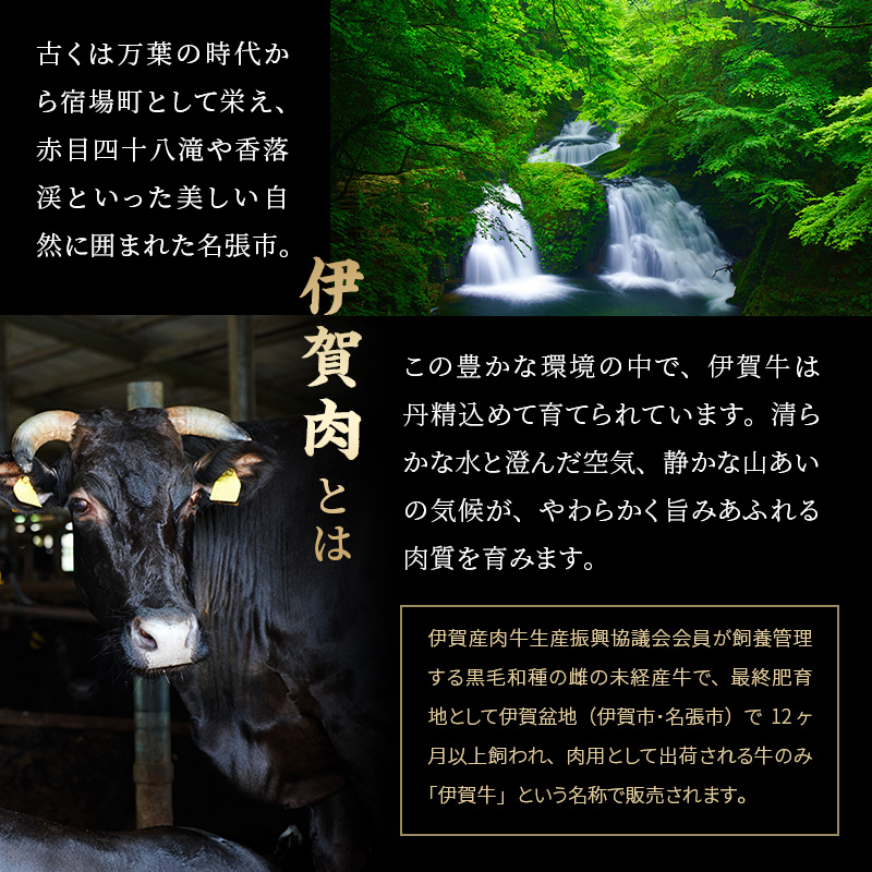 伊賀忍者ビーフヒレステーキコース・B-ひ