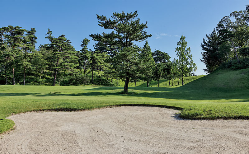 桔梗が丘ゴルフコース 土日祝 1名様 プレー券