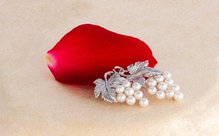 V-3アコヤ真珠ブローチ