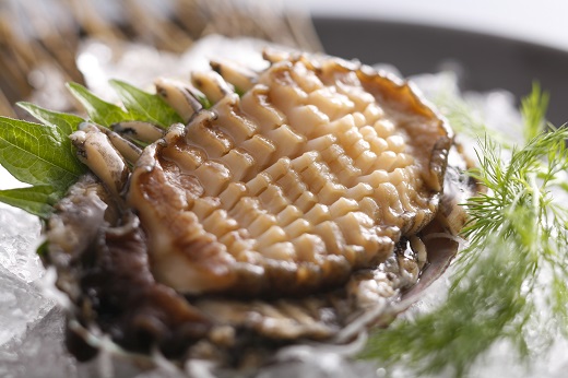 O-43天然赤あわび