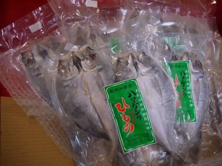 定置網のハマケン水産 【あじのひらき30枚☆無添加】3枚入り×10袋 ひもの 干物 アジ おすそ分けにも♪【kmkn0109】
