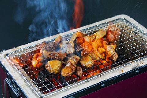 地鶏 鶏肉 とっておき地鶏 プレミアムセット オス メス 各1羽 1.7㎏以上 モモ肉 むね肉 ササミ肉 肉 鶏肉 鳥肉 とり肉 地鶏 焼き鳥 焼鳥 炭火焼鳥 炭火焼き もも肉 むね肉 ささみ 惣菜 おかず 小分けパック 国産 名古屋コーチン 伊勢赤どり 三重県 熊野市 【frsn0007】