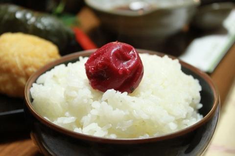 梅干し 無添加 ふるさとの味 昔ながらのすっぱい しそ漬け 梅干し 400ｇ 梅干し 梅干 うめぼし 梅 うめ ウメ しそ梅 しそ梅干し 無添加 梅干し【frsn0004】