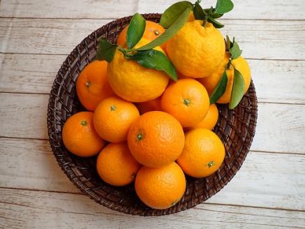 【定期便3回】 自然塾 季節のみかん＆まるごと果汁 詰合せ みかん ミカン 温州みかん フルーツ 果物 くだもの 柑橘 フルーツ定期便 果物定期便 不知火 ポンカン みかんジュース ジュース 甘い 濃厚 産地直送 数量限定 人気 国産 三重県 熊野市【szjk-tkb0003】