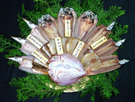 【定期便３回】 干物 海の恵み 干物詰め合わせ C 鯛 アジ サンマ カマス カワハギ 人気 干物セット【hatt-tkb0001】