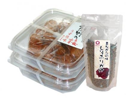 梅干し 熊野乃梅 うす塩 （塩分9％）500ｇ×2P しそふりかけ【snby0004】