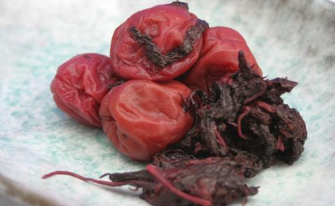 梅干し 熊野乃梅「昔ながらの梅」小分け 4パックセット 160g×4【snby0014】