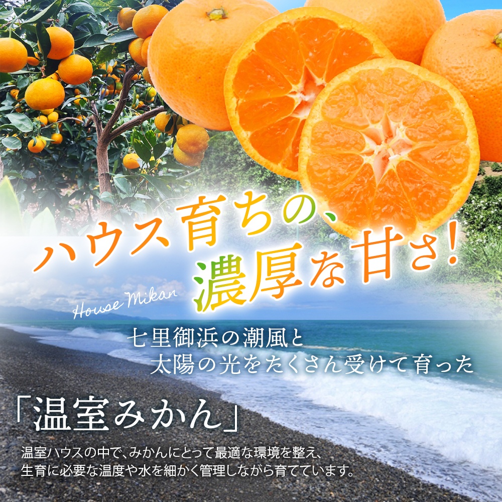 【数量限定】仲森農園の温室みかん 2.5kg 【2026年7月より順次発送予定（お届け日指定不可）】【nkmr0001】