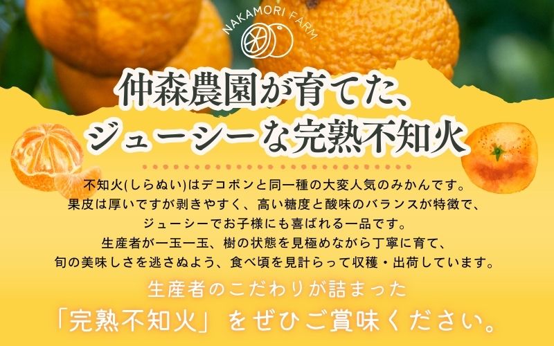 【数量限定】仲森農園の完熟不知火 5kg 【2026年2月～4月頃で順次発送】【nkmr0003】
