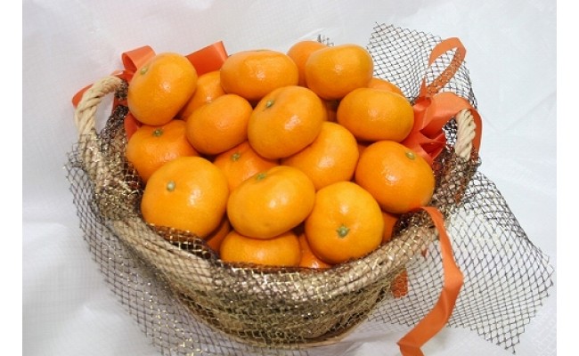 みかんジュース 仲森農園の甘熟みかんじゅーす 1L×6本 ミカンジュース みかん ミカン 温州みかん ストレート フルーツジュース フルーツ 果物 くだもの 人気 数量限定 仲森農園 三重県 熊野市 【nkmr0005】