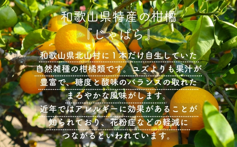 砂糖不使用じゃばらマーマレード（140g×２本）【kmys0019】