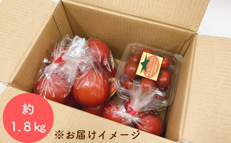 【2026年1月以降配送】熊野薬草園のトマトMIX（1.8kg） トマト ミックス お楽しみ 熊野 予約受付【kmys0003】