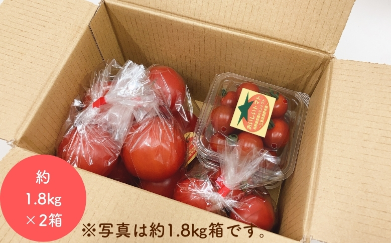 【2026年1月以降配送】熊野薬草園のトマトMIX（1.8kg×2箱） トマト ミックス お楽しみ 熊野 予約受付【kmys0004】