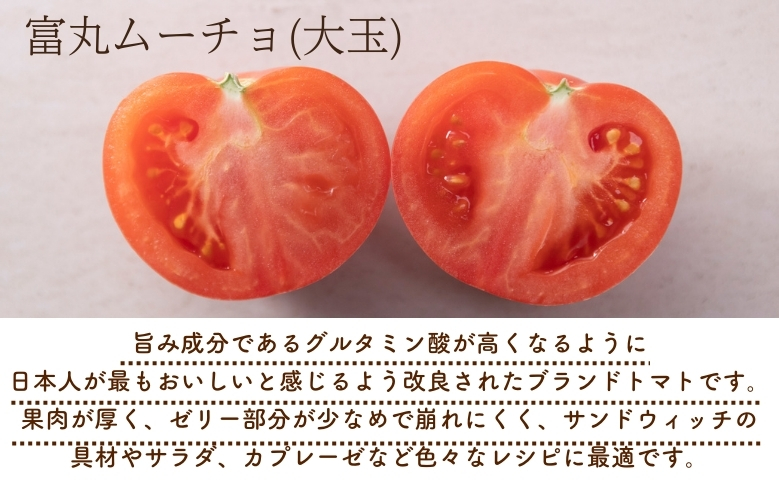 【2026年1月以降配送】熊野薬草園の大玉トマト（1.2kg×2箱） トマト 大玉トマト 熊野 予約受付【kmys0006】