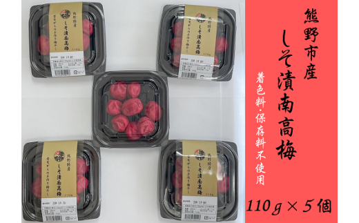 梅干し 南高梅 無添加 小分けタイプ 昔ながらのすっぱい しそ漬け梅干し 110g×5【frsn0003】