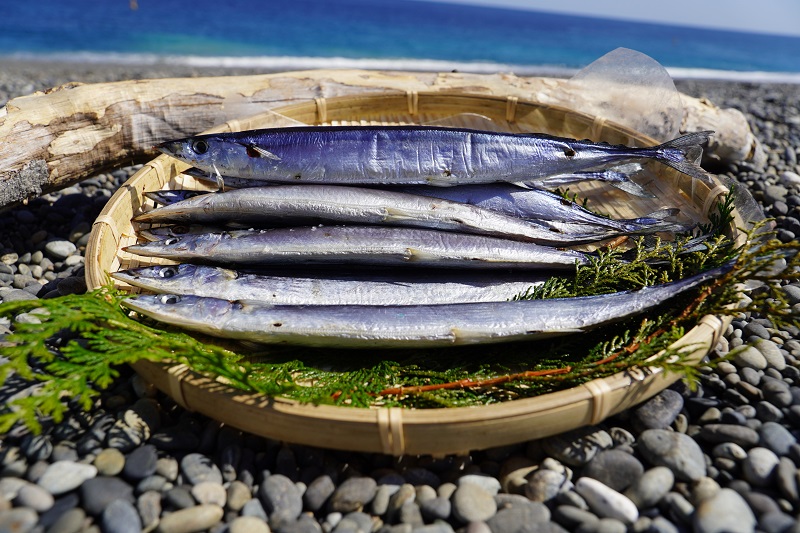 さんま丸干し　20本　魚作商店3代目の丸干し製法【uosk0016】