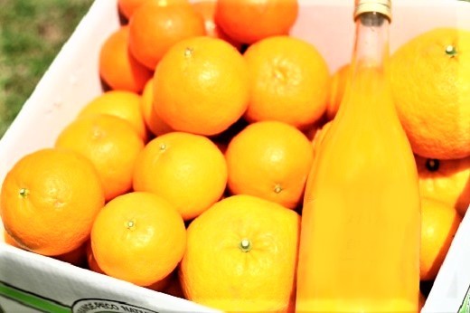 自然塾 季節のみかん＆まるごと果汁 詰合せ みかん ミカン 温州みかん フルーツ 果物 くだもの 柑橘 不知火 ポンカン みかんジュース ジュース 甘い 濃厚 産地直送 数量限定 人気 国産 三重県 熊野市 【szjk0001】