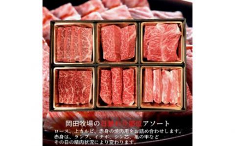 美熊野牛 6種の部位が楽しめる 食べ比べ 焼肉セット 500g ロース カルビ 赤身 牛肉 肉 ブランド牛 和牛 黒毛和牛 国産牛 焼肉 焼き肉 霜降り 赤身 人気 希少 万能 食べ比べセット おすすめ 三重県 熊野市【okad0008】