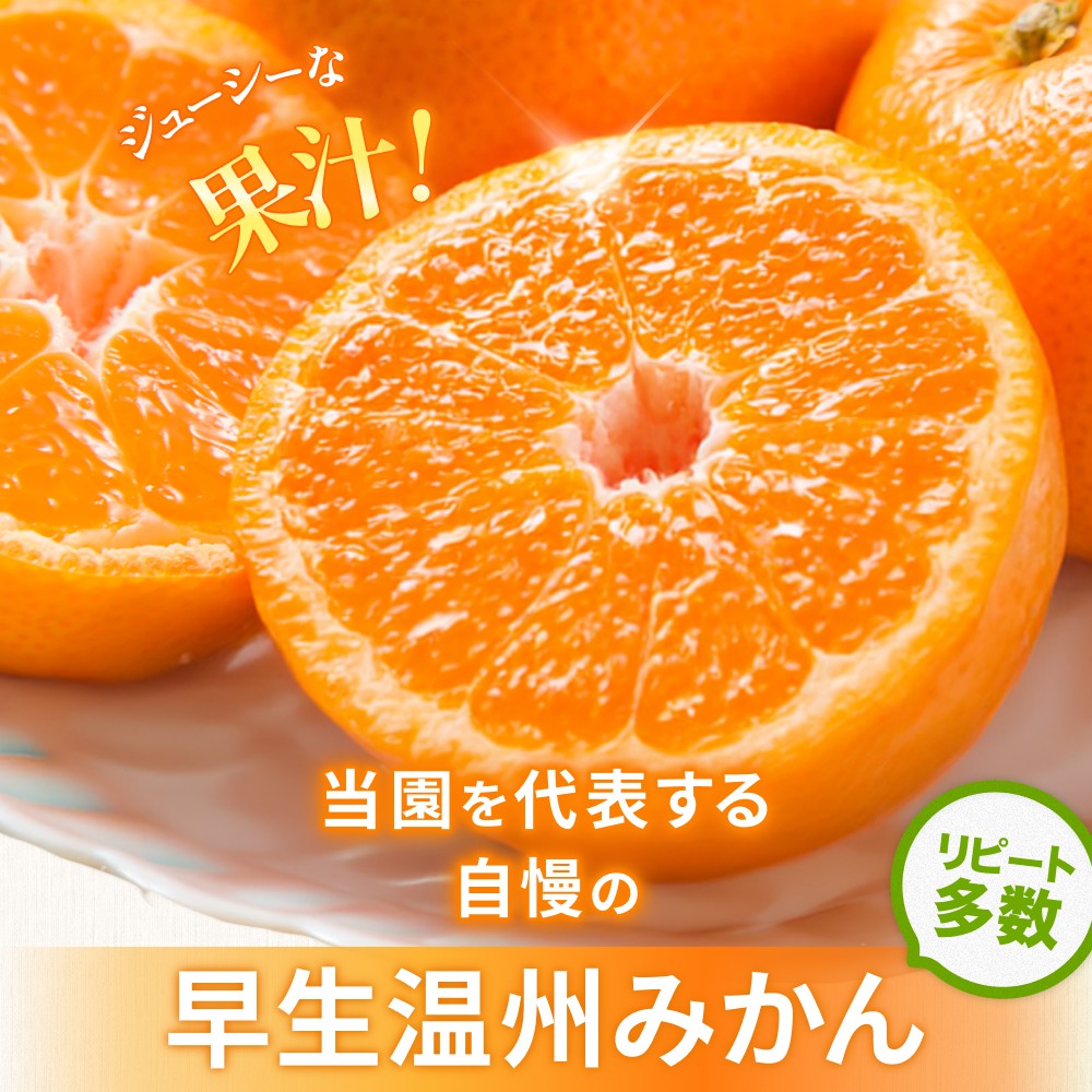 <テレビで紹介されました> 金山パイロットファーム 温州みかん 5㎏ (早生) みかん ミカン 温州みかん【knpr0014A】