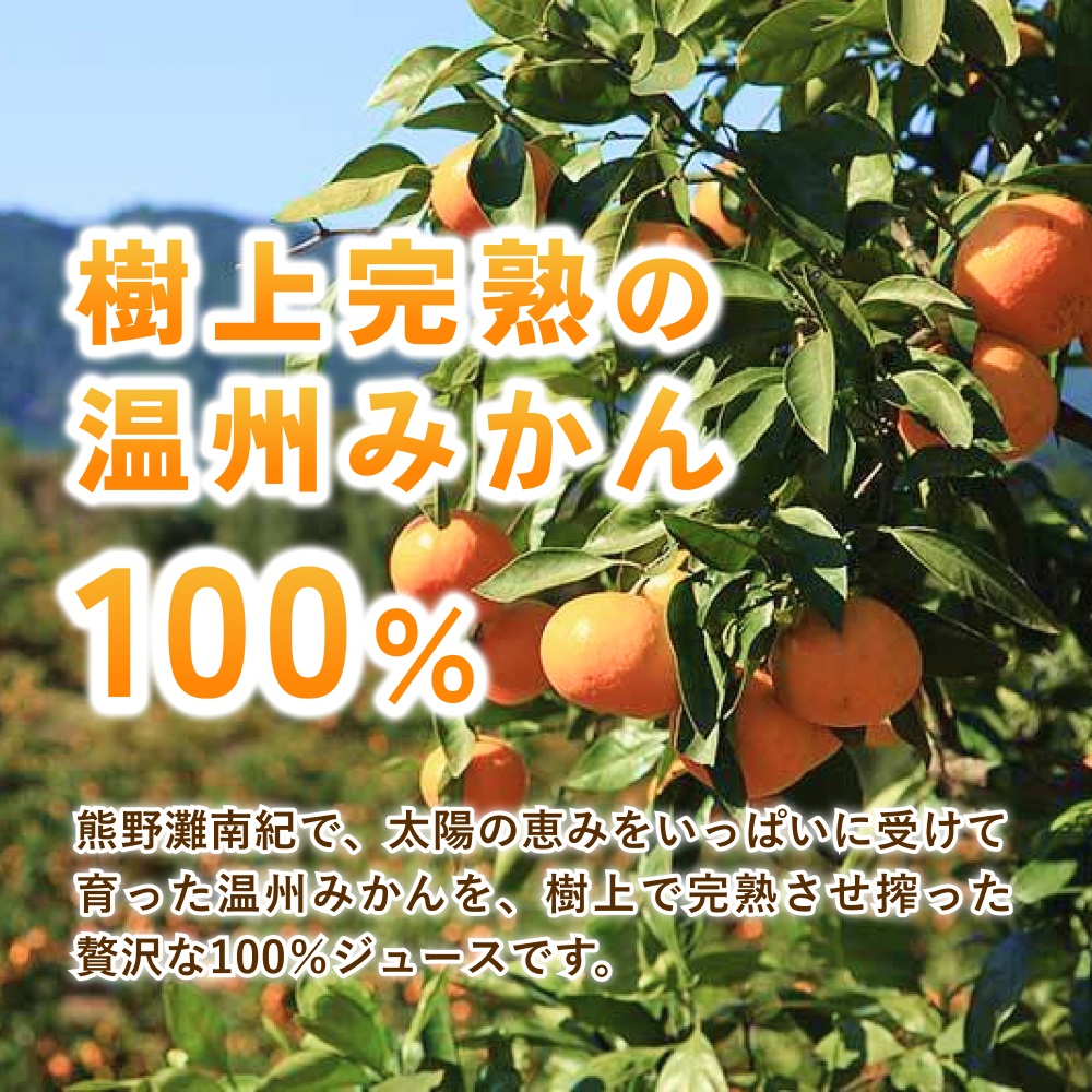 みかんストレートジュース「くまのそだち」（白ラベル）3本【knpr0001】