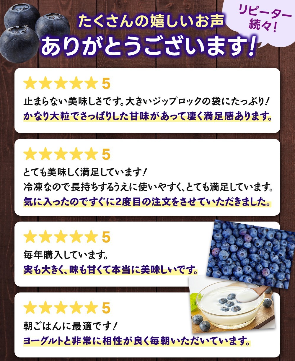 冷凍 ブルーベリー 1kg 急速冷凍 フルーツ 果物 くだもの スムージー ジャム 朝食 デザート 特産品 人気 国産 旬 金山パイロットファーム 三重県 熊野市【knpr0009A】