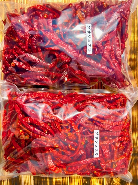 <テレビで紹介されました> 【熊野唐辛子】プサジュエラ 乾燥 1000g 希少 国産唐辛子【kmng0005】