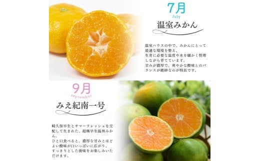 【全5回】仲森農園の柑橘定期便 合計5種 14.5kg 【温室みかん・超極早生温州「みえ紀南一号」・極早生温州・由良早生・早生温州「完熟熊野みかん」】 みかん ミカン 蜜柑 温州みかん 温州ミカン 柑橘 みかん定期便 フルーツ定期便 果物定期便 柑橘定期便 フルーツ 果物 くだもの 甘い 旬 人気 産地直送 三重県 熊野市【nkmr-tkb0001】