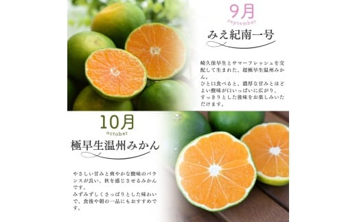 【全4回】仲森農園の柑橘定期便 合計4種 20kg 【超極早生温州「みえ紀南一号」・極早生温州・由良早生・早生温州「完熟熊野みかん」】 みかん ミカン 蜜柑 温州みかん 温州ミカン 柑橘 みかん定期便 フルーツ定期便 果物定期便 柑橘定期便 フルーツ 果物 くだもの 甘い 旬 人気 産地直送 三重県 熊野市【nkmr-tkb0004】