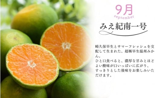 【全3回】仲森農園の柑橘定期便 合計3種 30kg 【超極早生温州「みえ紀南一号」・極早生温州・由良早生】 みかん ミカン 蜜柑 温州みかん 温州ミカン 柑橘 みかん定期便 フルーツ定期便 果物定期便 柑橘定期便 フルーツ 果物 くだもの 甘い 旬 人気 産地直送 三重県 熊野市【nkmr-tkb0010】