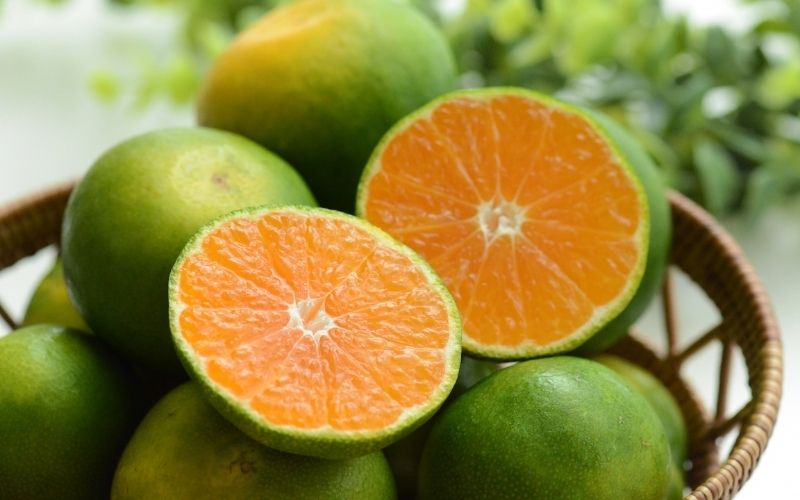 仲森農園の超極早生温州みかん みえ紀南一号 約3kg みかん ミカン 蜜柑 温州みかん 温州ミカン 柑橘 フルーツ 果物 くだもの 甘い 旬 数量限定 期間限定 産地直送 10000円 三重県 熊野市【2026年9月上旬頃～9月下旬頃に順次発送】【nkmr0011】