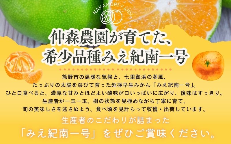 仲森農園の超極早生温州みかん みえ紀南一号 約10kg みかん ミカン 蜜柑 温州みかん 温州ミカン 柑橘 フルーツ 果物 くだもの 甘い 旬 数量限定 期間限定 産地直送 三重県 熊野市【2026年9月上旬頃～9月下旬頃に順次発送】【nkmr0014】