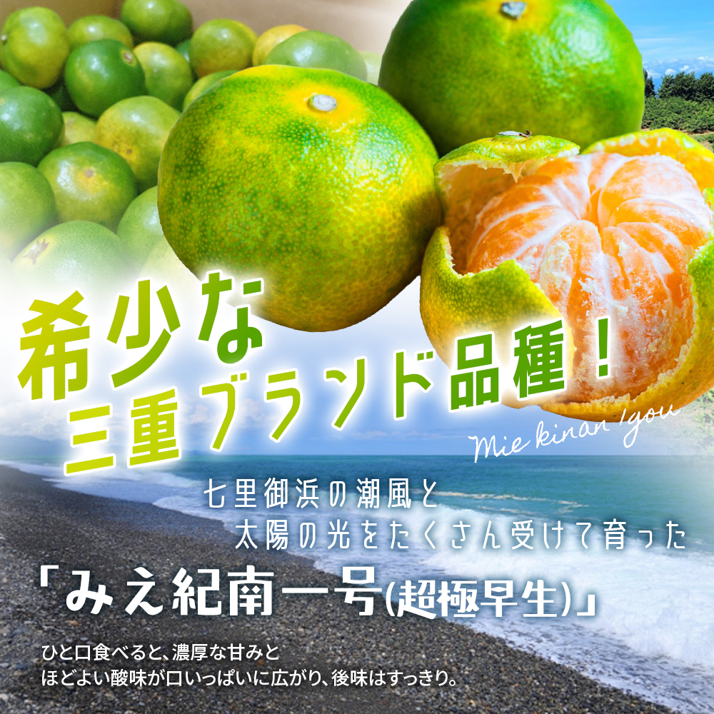 仲森農園の超極早生温州みかん みえ紀南一号 約10kg みかん ミカン 蜜柑 温州みかん 温州ミカン 柑橘 フルーツ 果物 くだもの 甘い 旬 数量限定 期間限定 産地直送 三重県 熊野市【2026年9月上旬頃～9月下旬頃に順次発送】【nkmr0014】