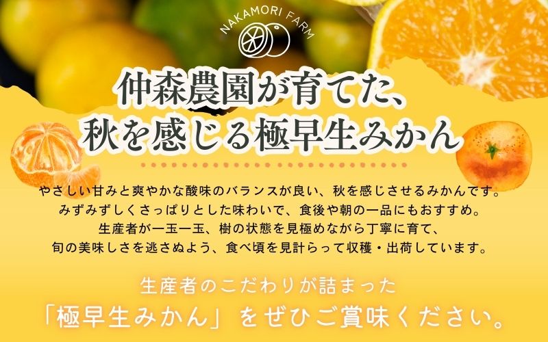 仲森農園の極早生温州みかん 約5kg みかん ミカン 蜜柑 温州みかん 温州ミカン 柑橘 フルーツ 果物 くだもの 甘い 旬 数量限定 期間限定 産地直送 10000円 三重県 熊野市【2026年9月下旬頃～10月下旬頃に順次発送】【nkmr0016】