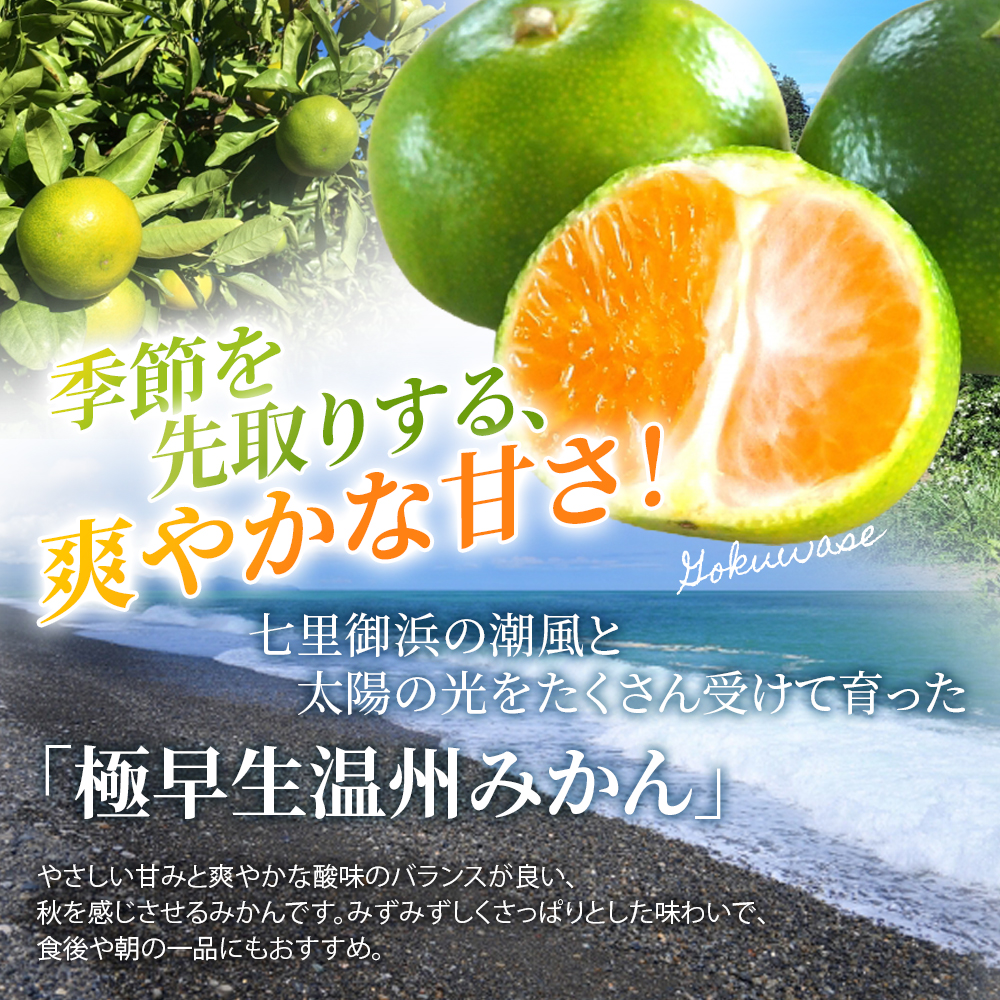 仲森農園の極早生温州みかん 約7kg みかん ミカン 蜜柑 温州みかん 温州ミカン 柑橘 フルーツ 果物 くだもの 甘い 旬 数量限定 期間限定 産地直送 10000円 三重県 熊野市【2026年9月下旬頃～10月下旬頃に順次発送】【nkmr0017】