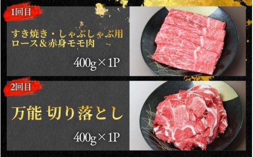 【全4回】美熊野牛 定期便A ＜すき焼きしゃぶしゃぶ用ロース＆赤身モモ肉 400g・切り落とし 400g・焼肉用6種食べ比べ 500ｇ・100％ハンバーグ 100g×5個＞  牛肉 肉 ブランド牛 和牛 黒毛和牛 国産牛 すき焼き しゃぶしゃぶ 赤身 赤身肉 焼肉 ハンバーグ 惣菜 肉定期便 人気 希少 おすすめ 三重県 熊野市【okad-tkb0019】